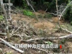 澳门金沙网站 _澳门金