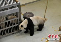 澳门金沙网站 _澳门金