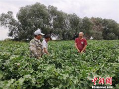 澳门金沙网站 _澳门金
